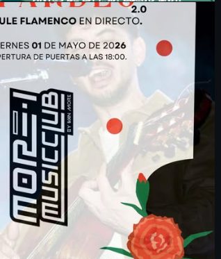 Tardeo Flamenco